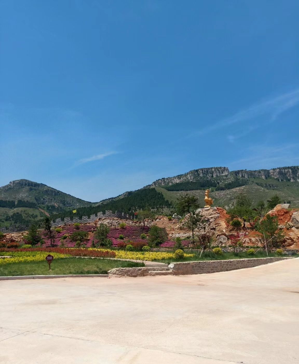 樱花谷旅行图片 2