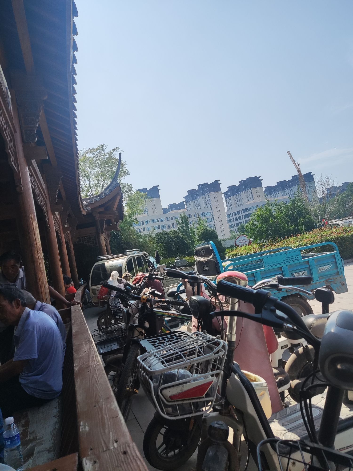 鄄城县金山公园旅行图片 2