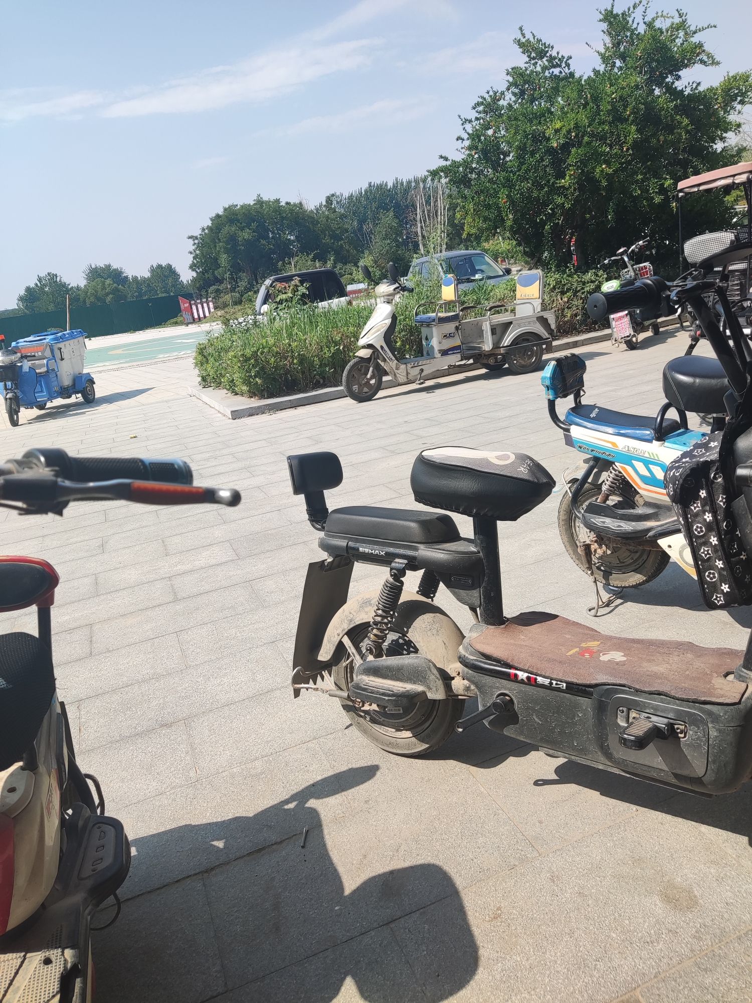 鄄城县金山公园旅行图片 3