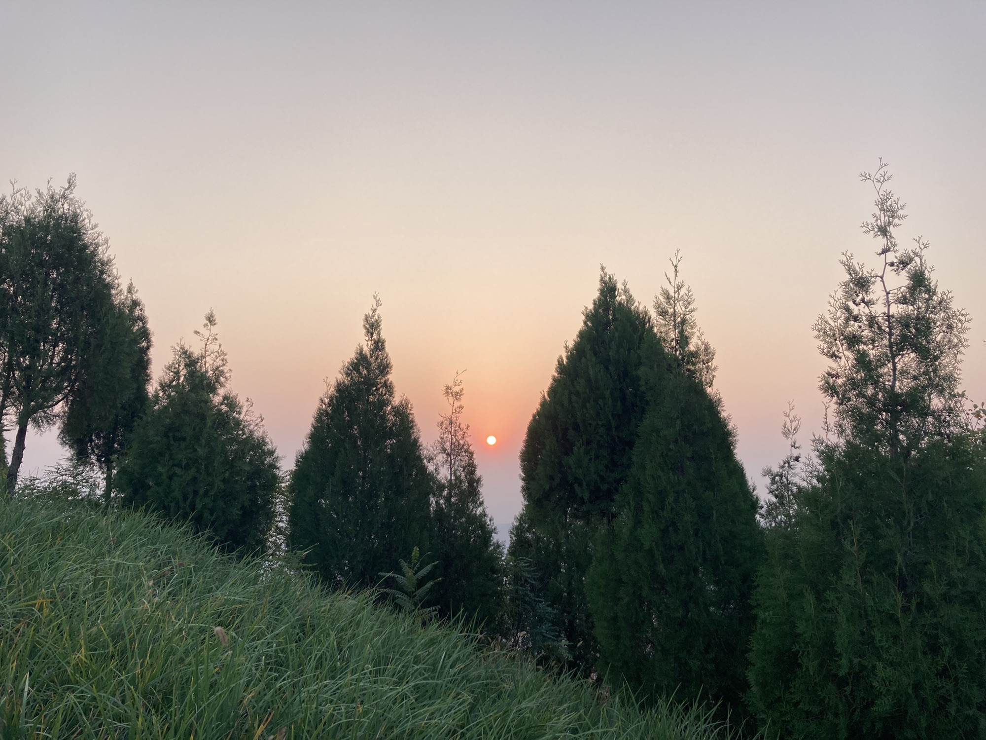 大北山山体公园旅行图片 3