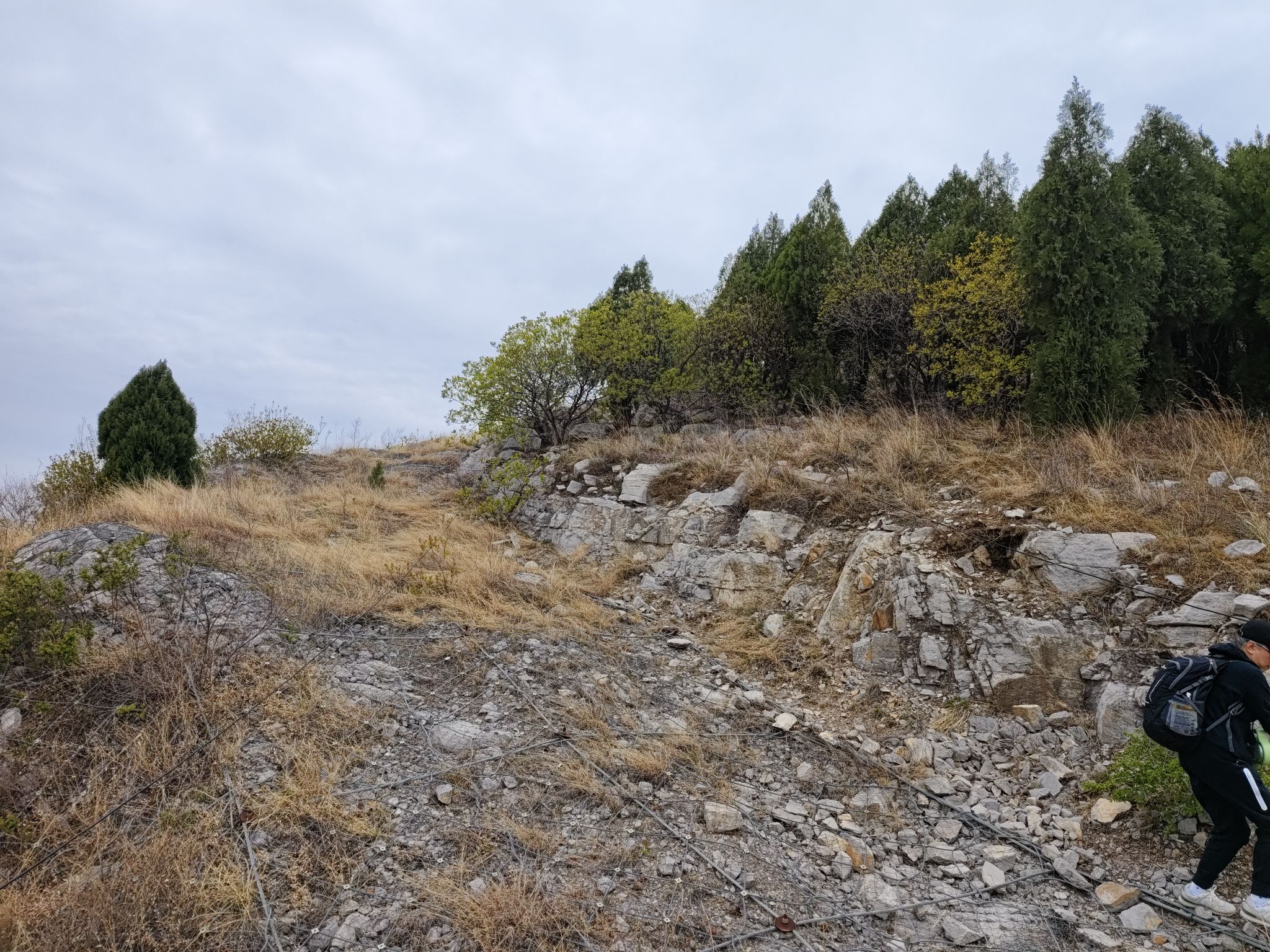 大北山山体公园旅行图片 3