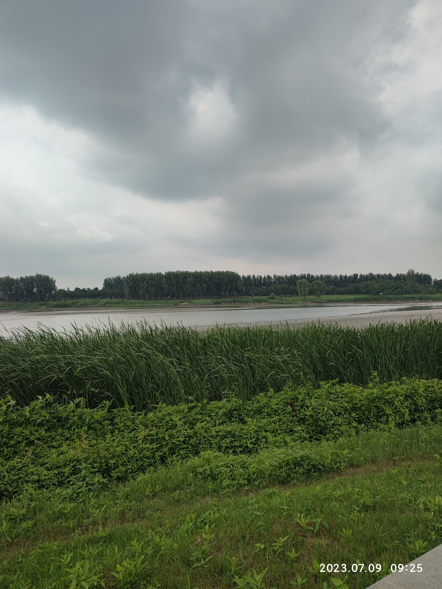 前辛台村栾翠岛旅行图片 3
