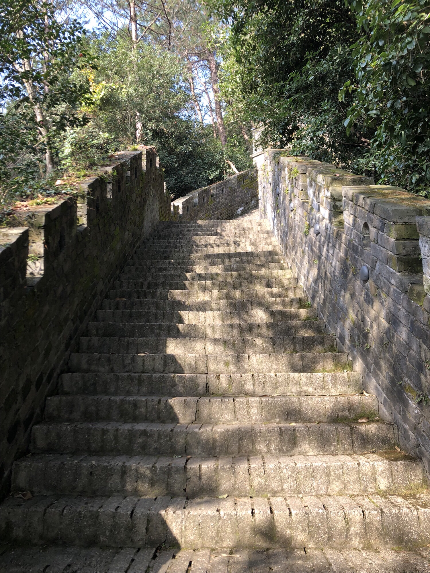 小八达岭旅行图片 2