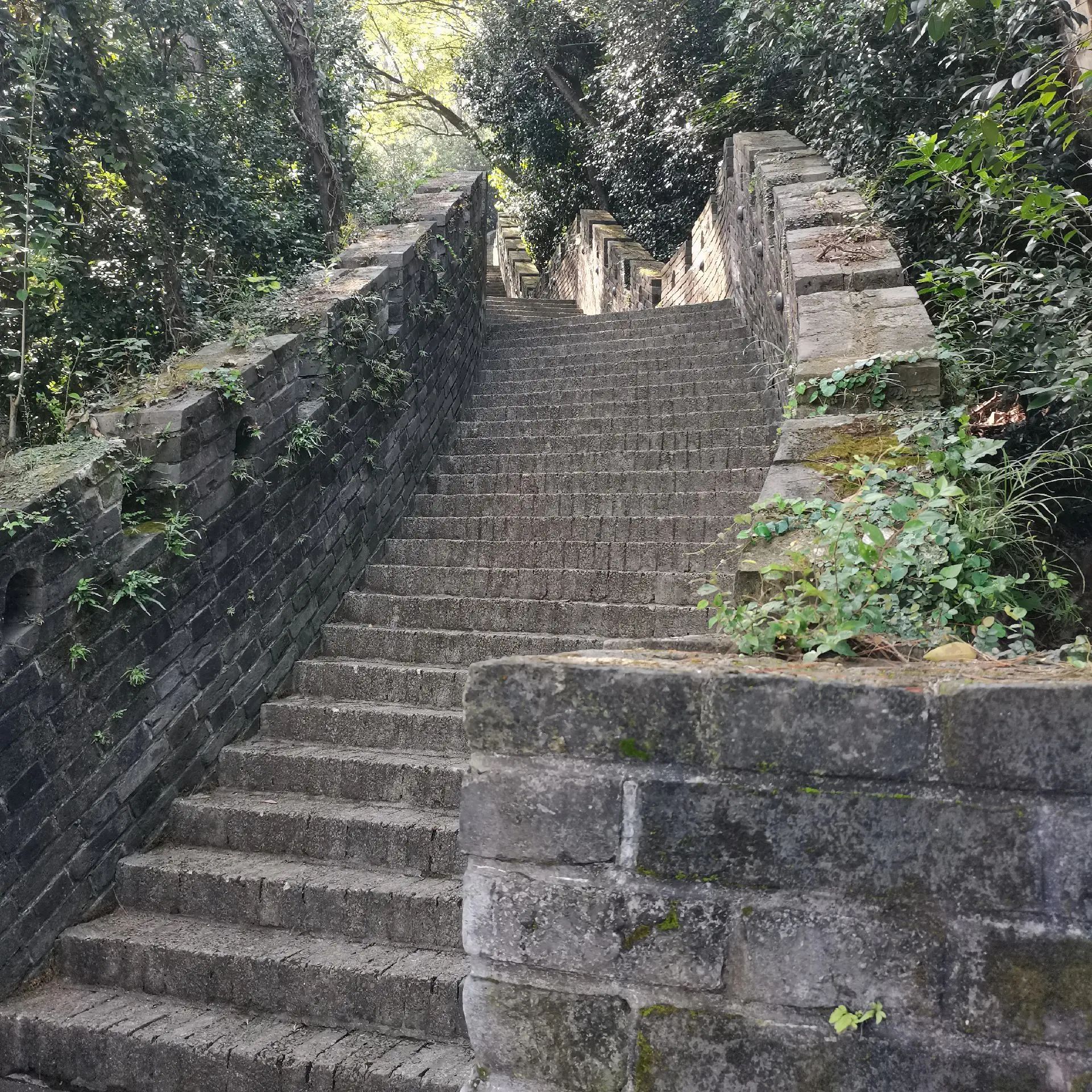 小八达岭旅行图片 1