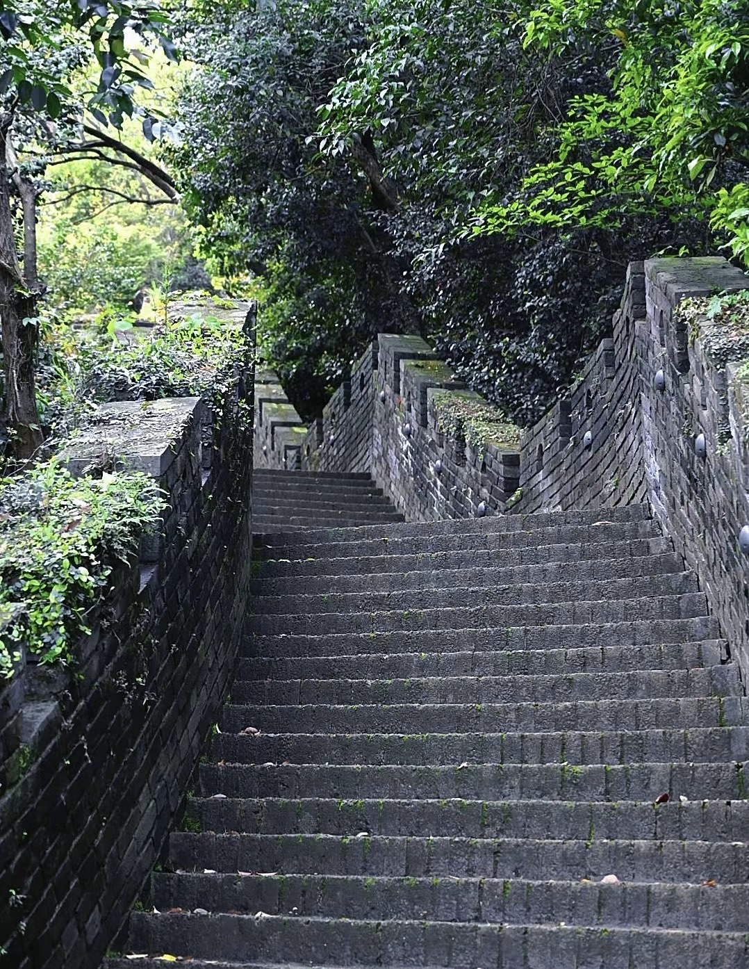 小八达岭旅行图片 2