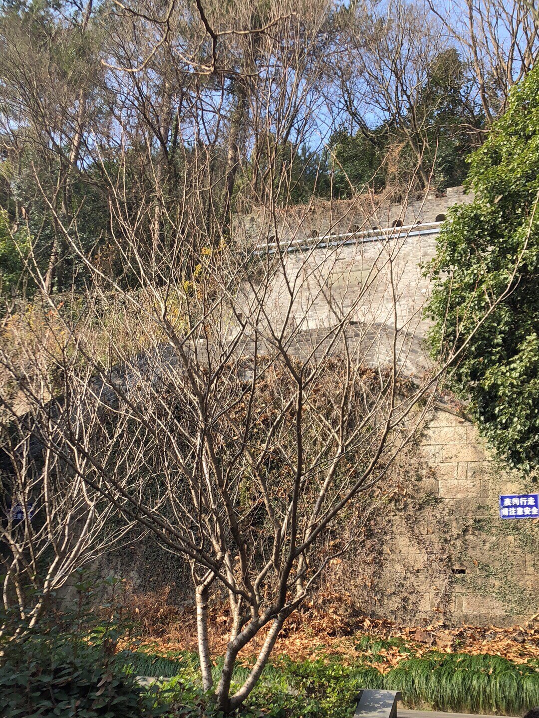 小八达岭旅行图片 1