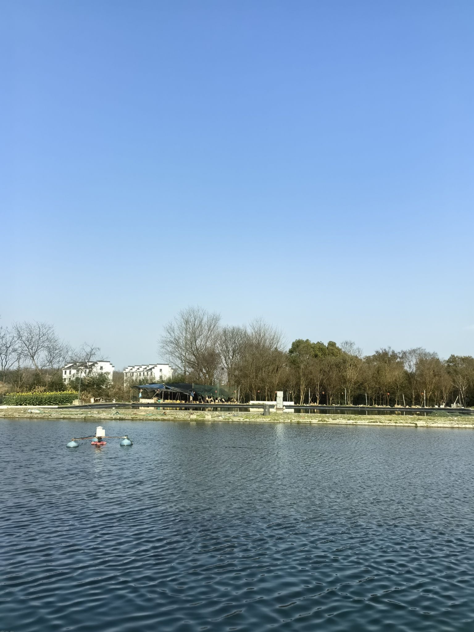 渔鹰钓场