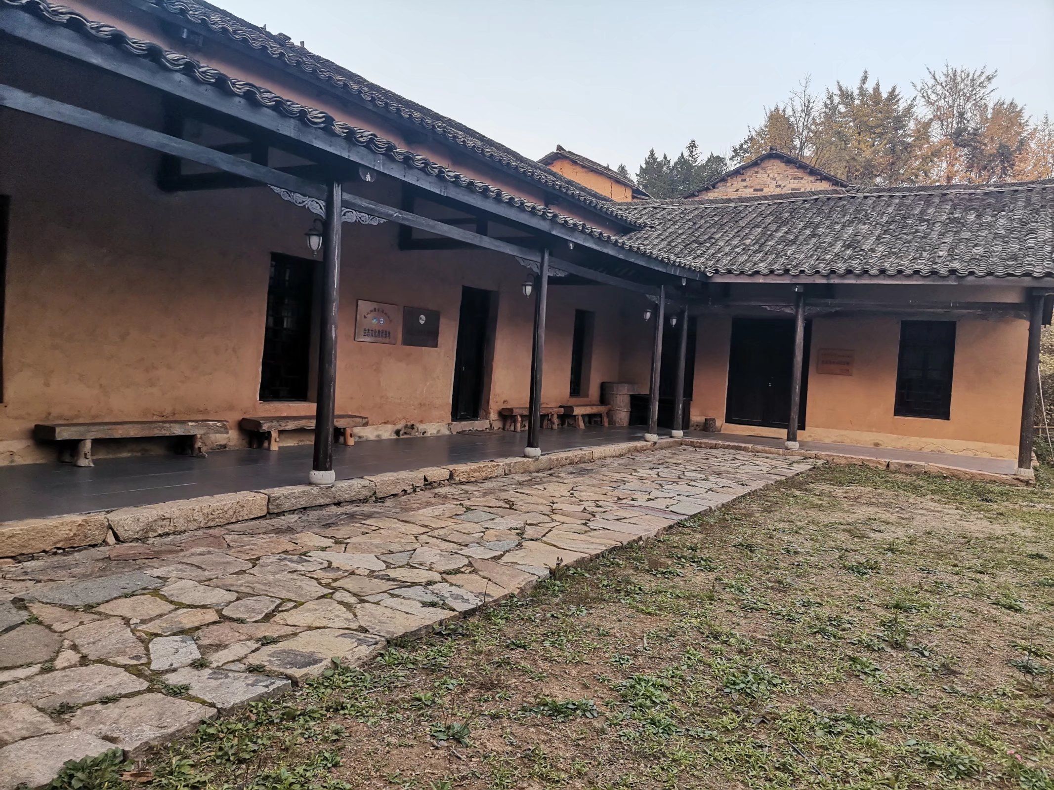 大别山古树名木博览园旅行图片 1