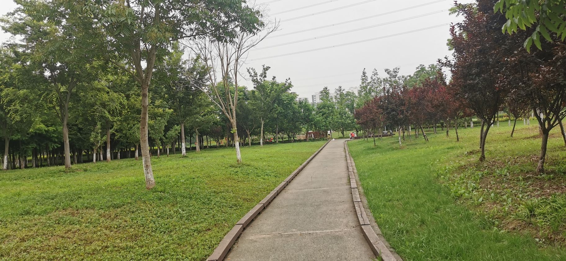 郊野乐园旅行图片 2