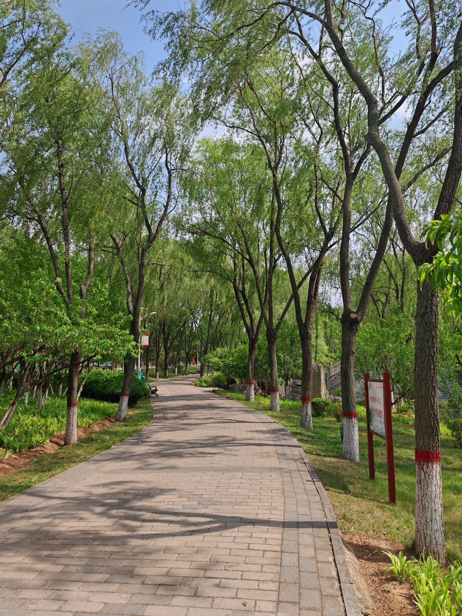 北高庙水上公园旅行图片 2