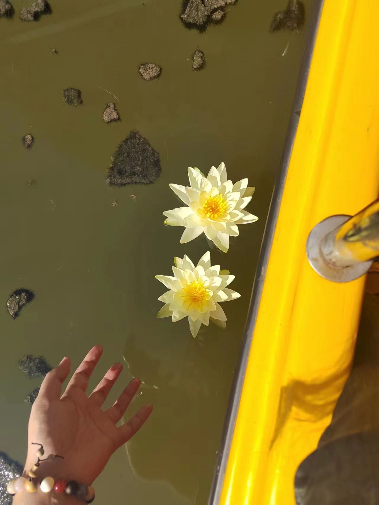 北高庙水上公园旅行图片 2