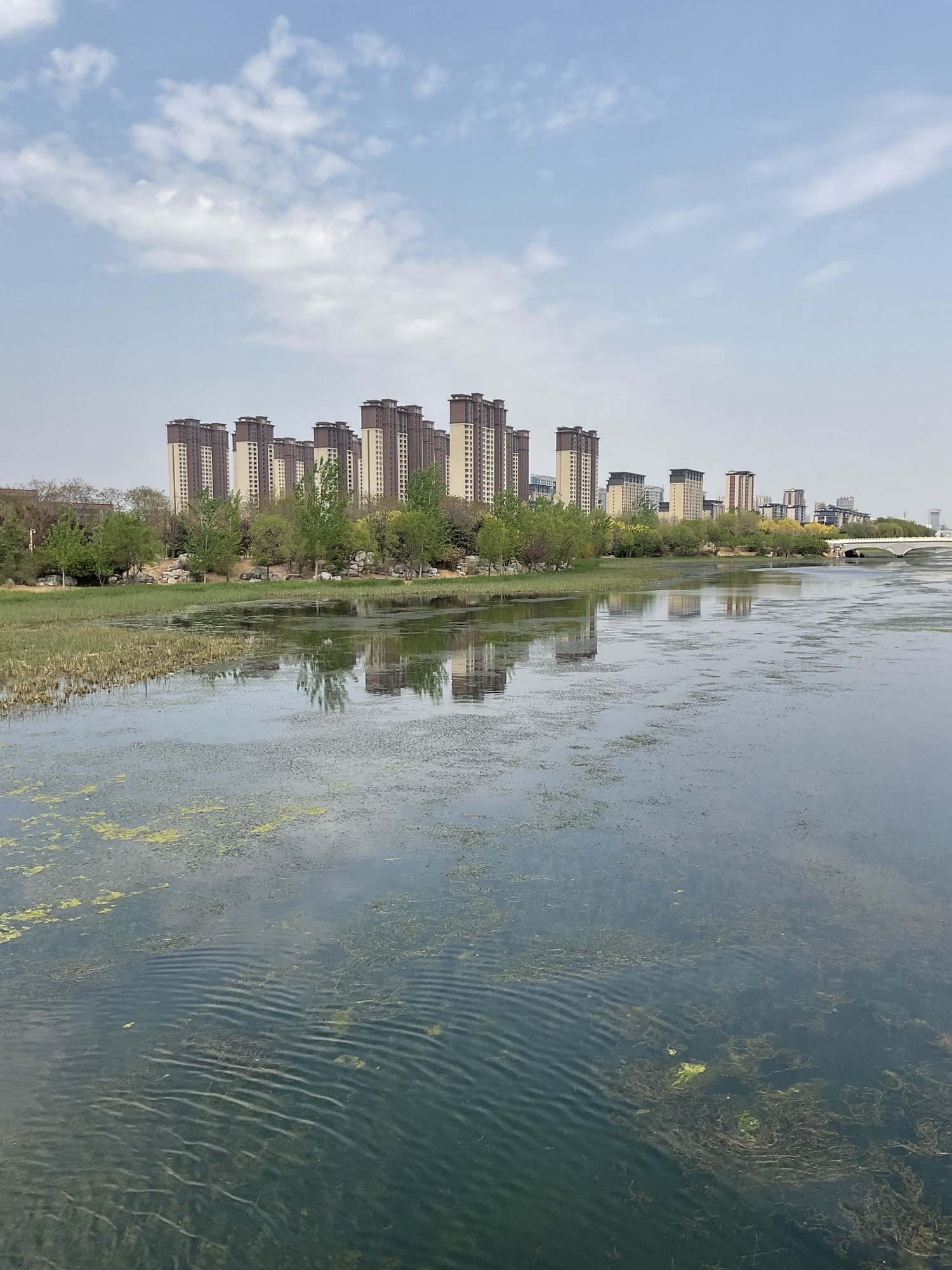 唐山友谊公园旅行图片 1