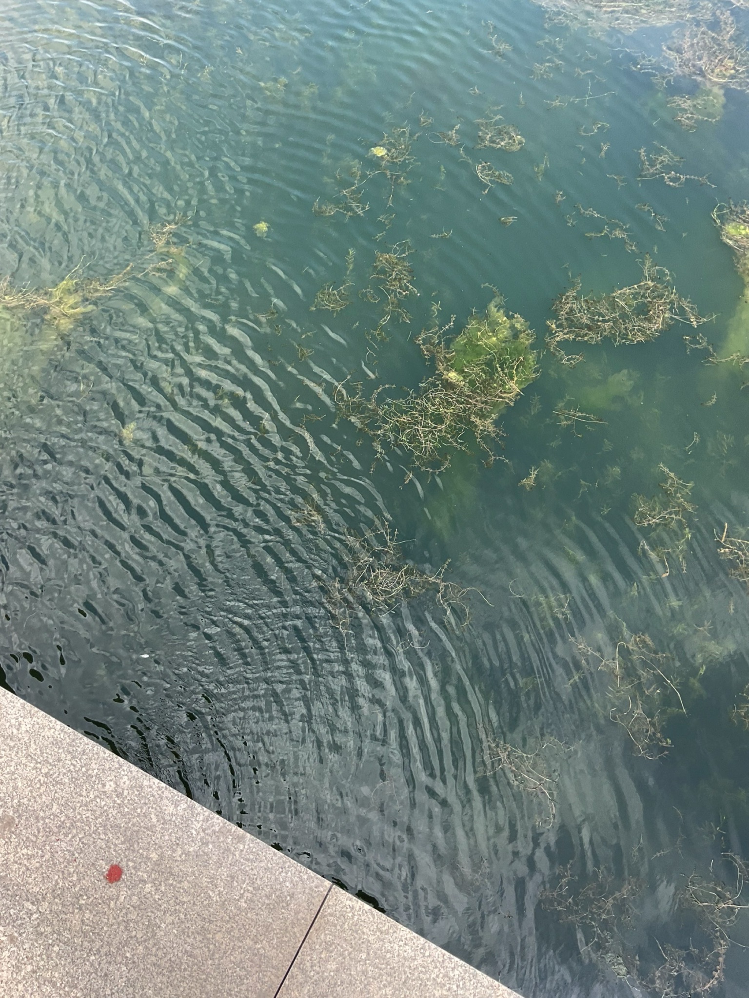唐山友谊公园旅行图片 2