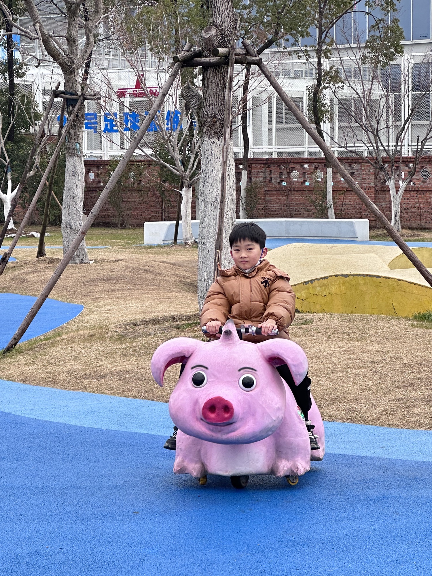 骆岗公园旅行图片 2