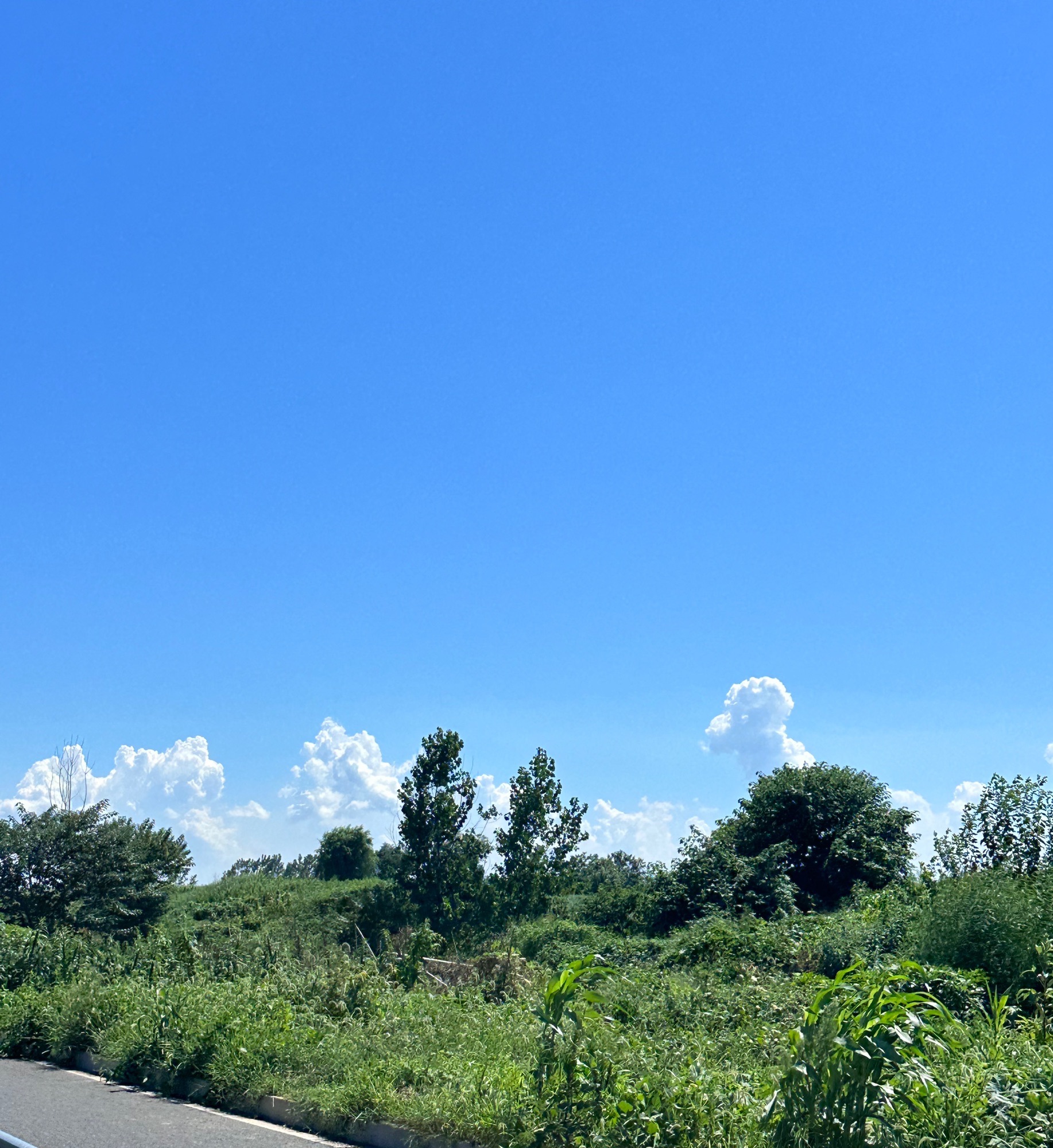 骆岗公园旅行图片 3