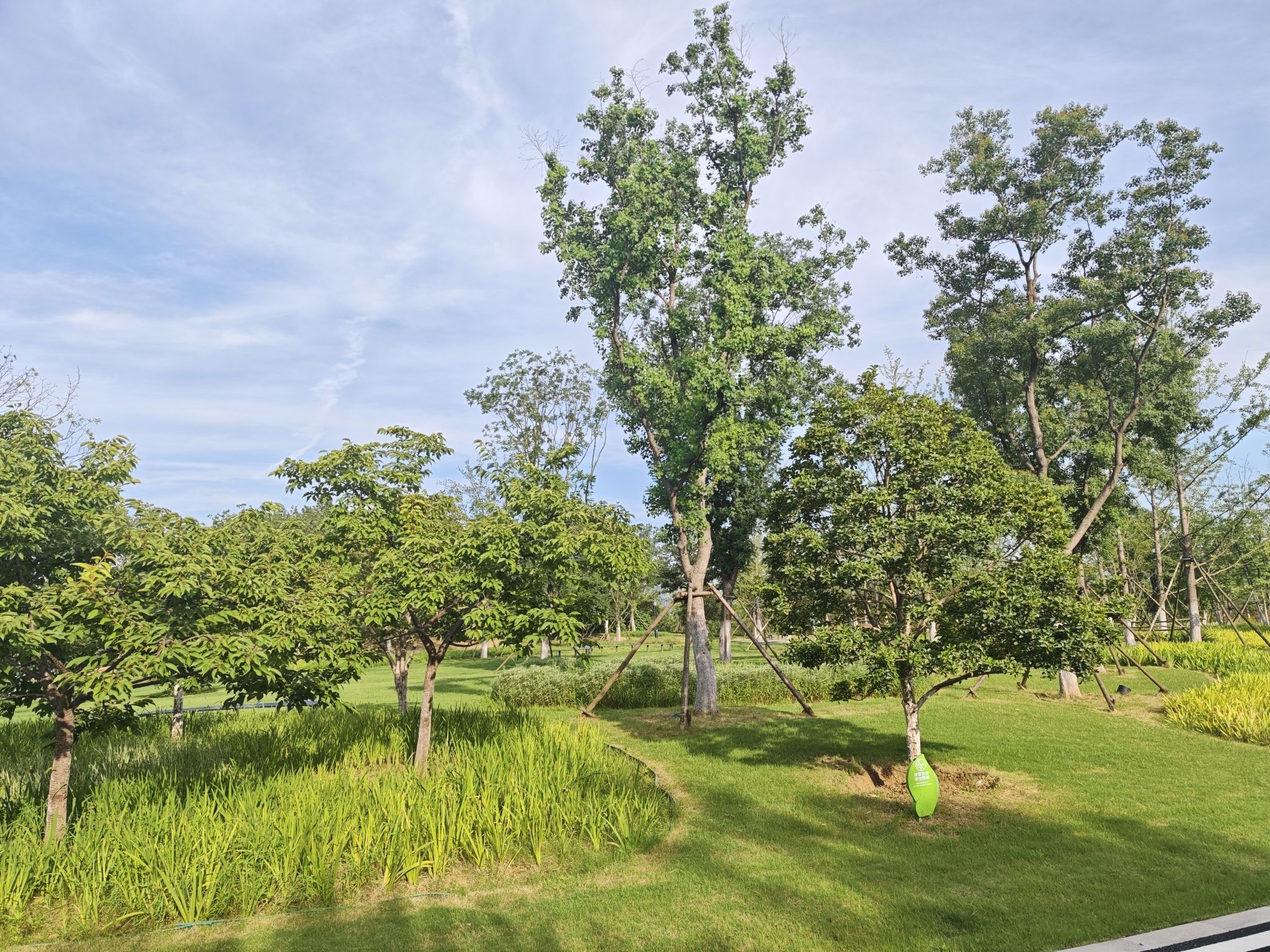 骆岗公园旅行图片 1