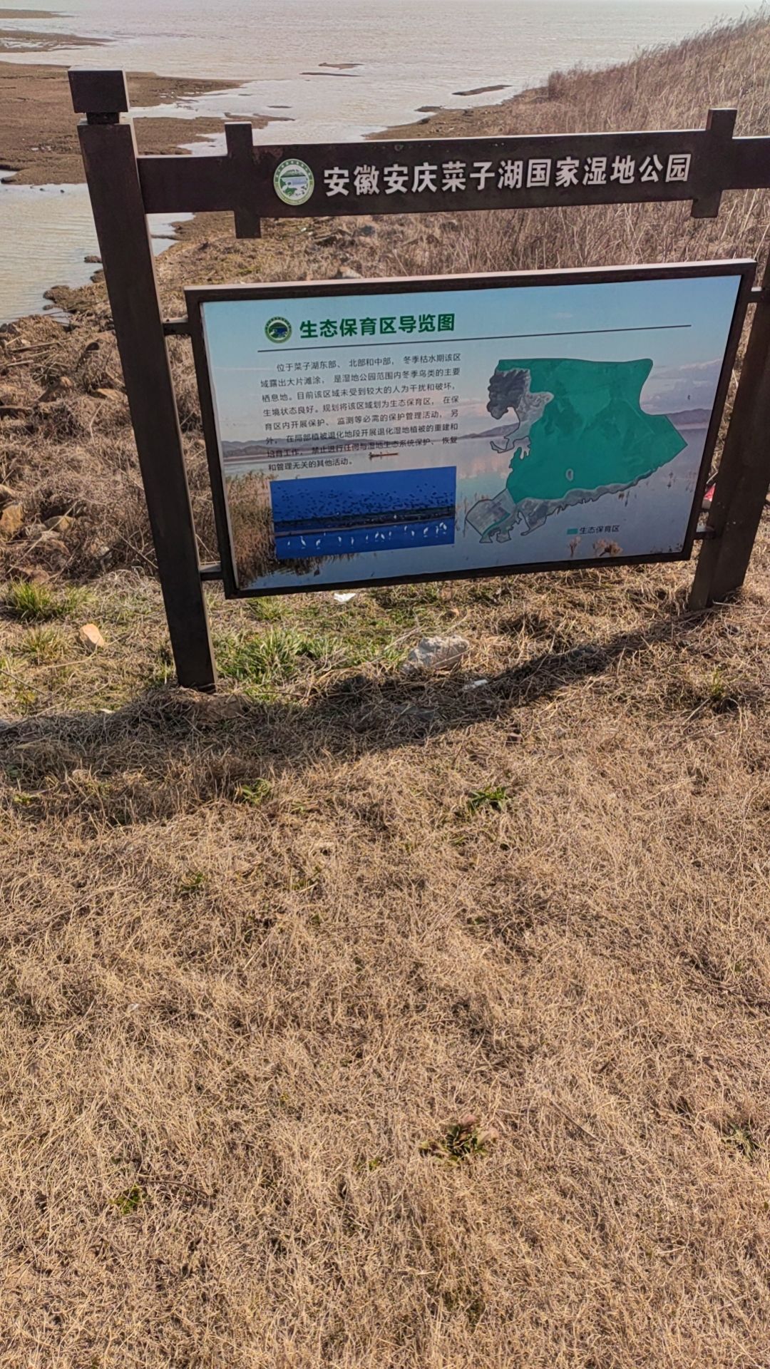 安徽菜子湖国家湿地公园旅行图片 1