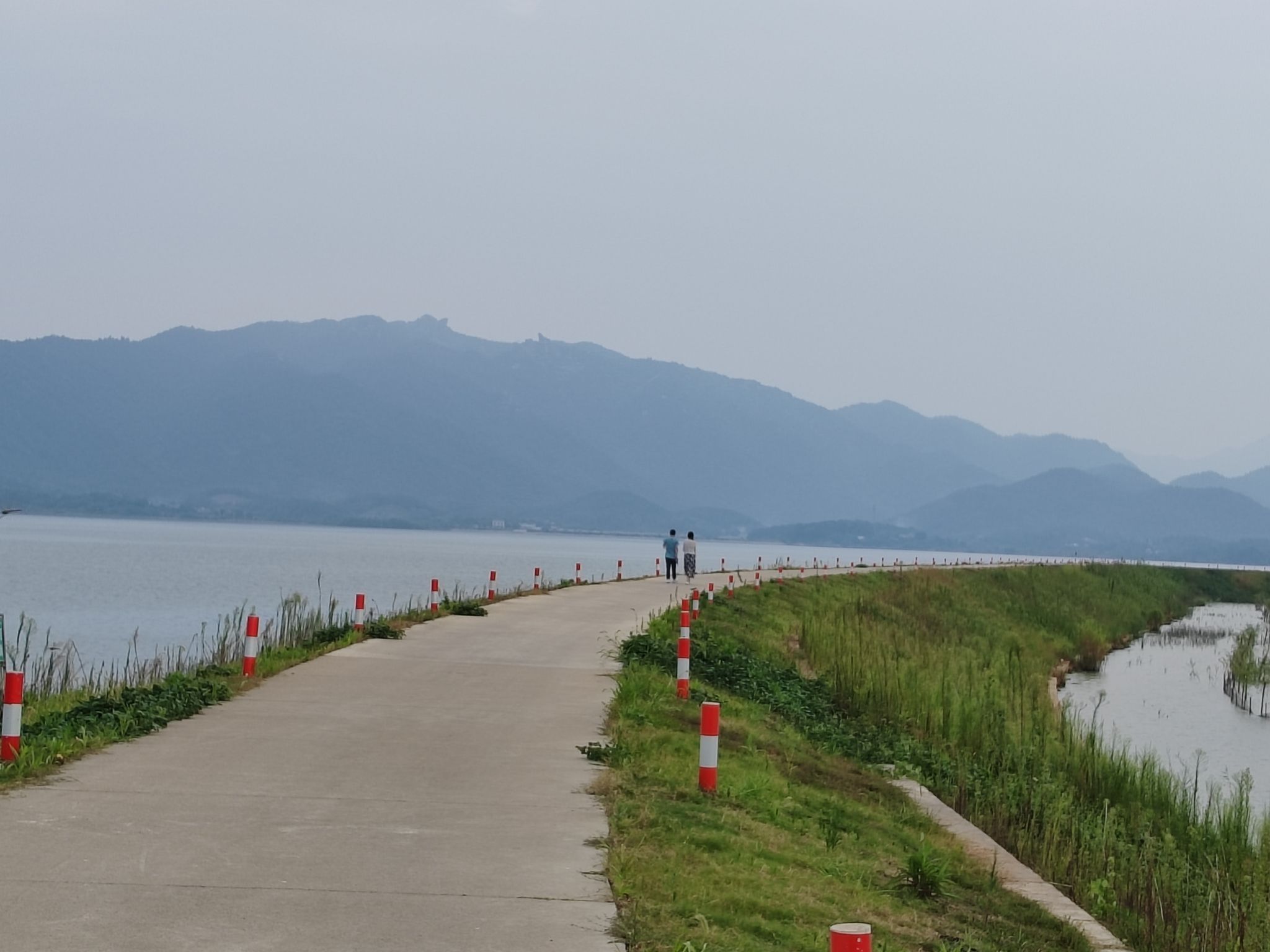 安徽菜子湖国家湿地公园旅行图片 1