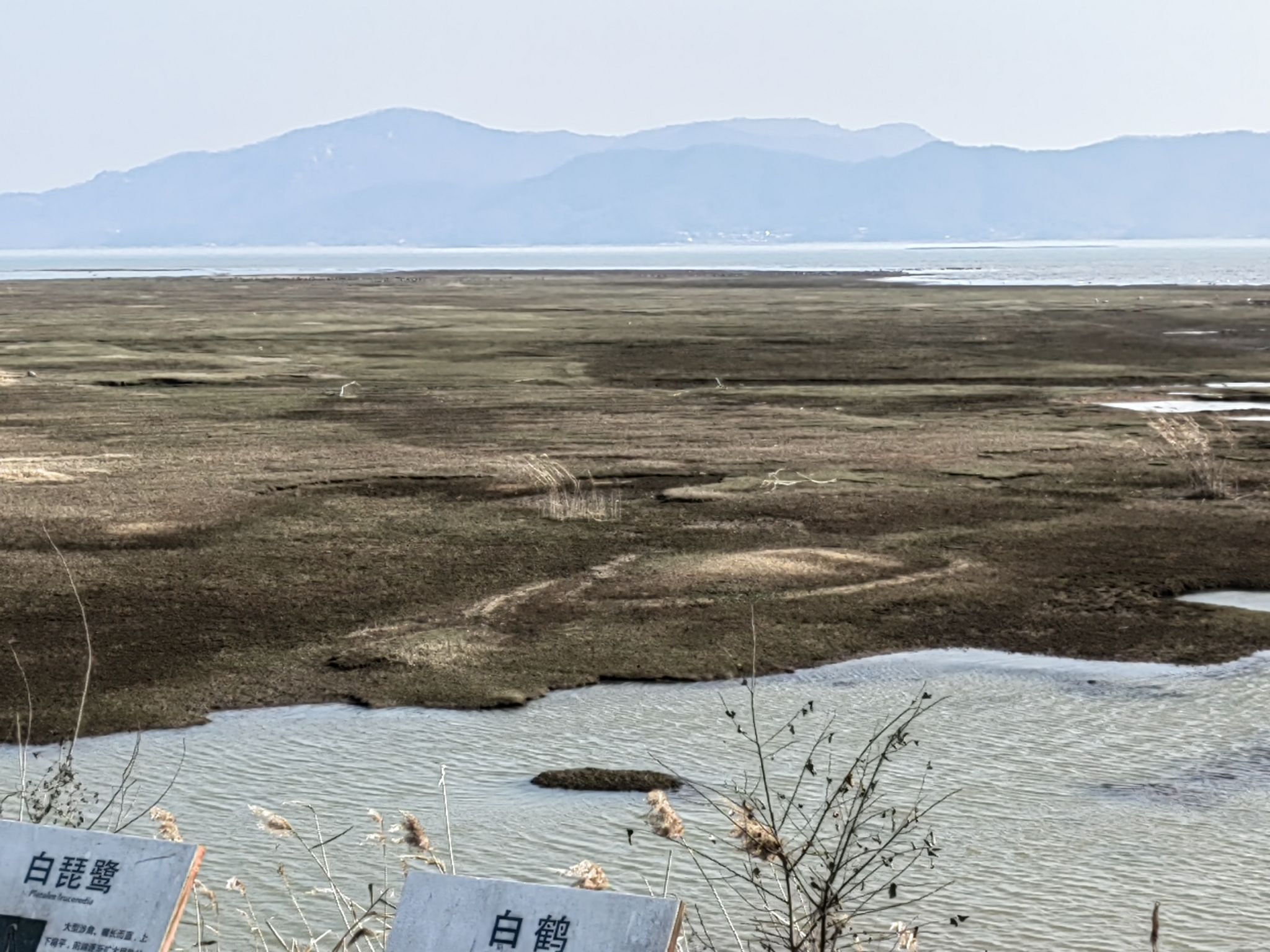安徽菜子湖国家湿地公园旅行图片 3