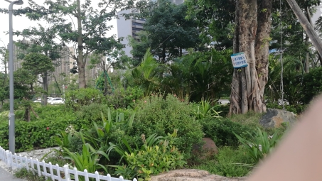 禾益城市公园