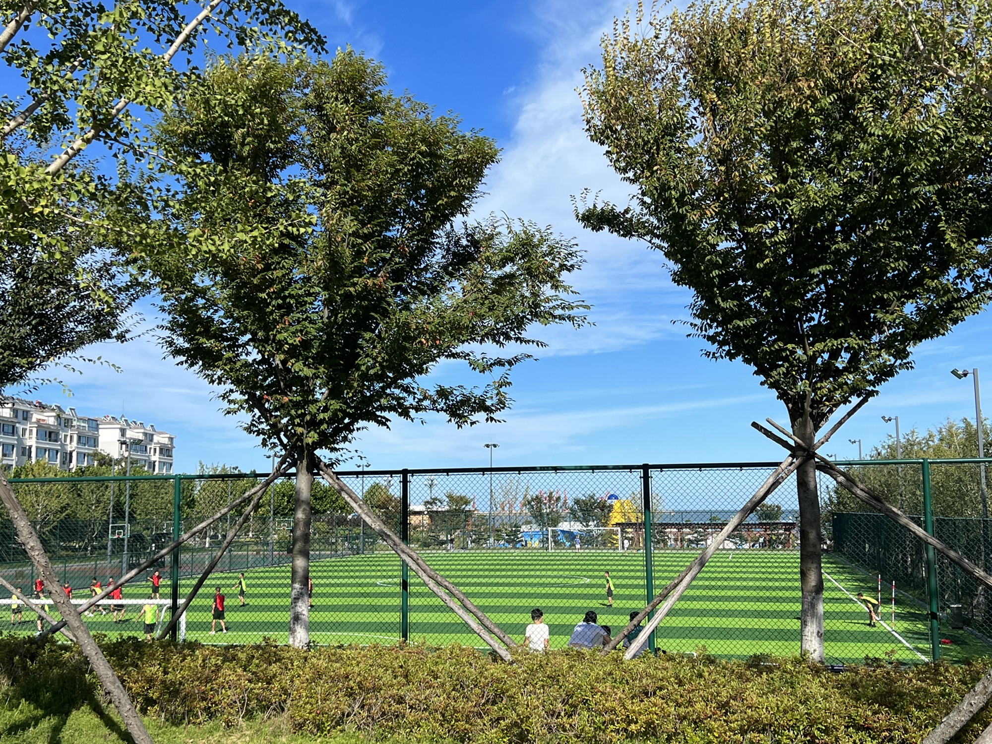 大鱼岛公园旅行图片 1
