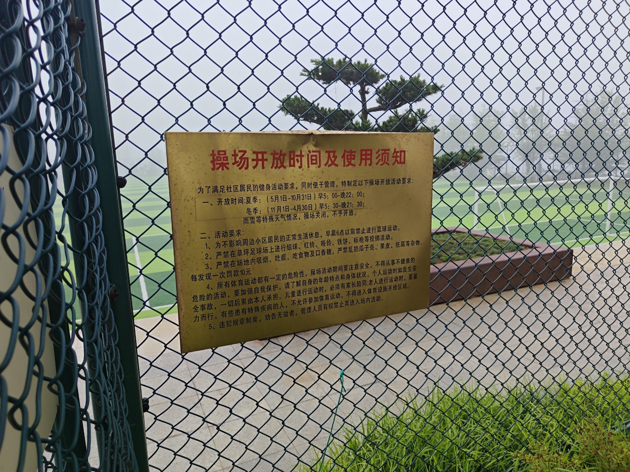 大鱼岛公园旅行图片 1