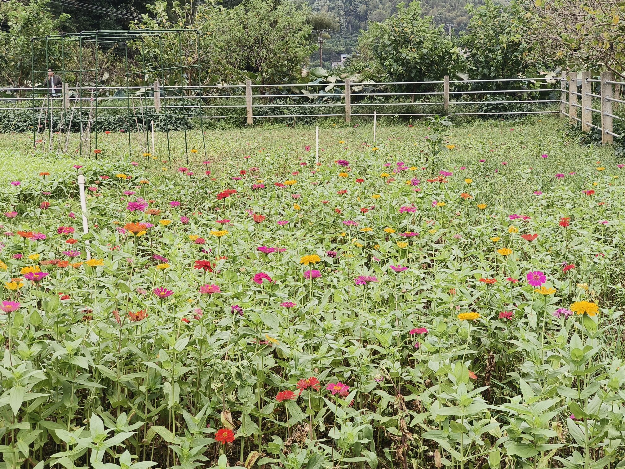 鸵鸟户外团建拓展中心·露营·越野基地