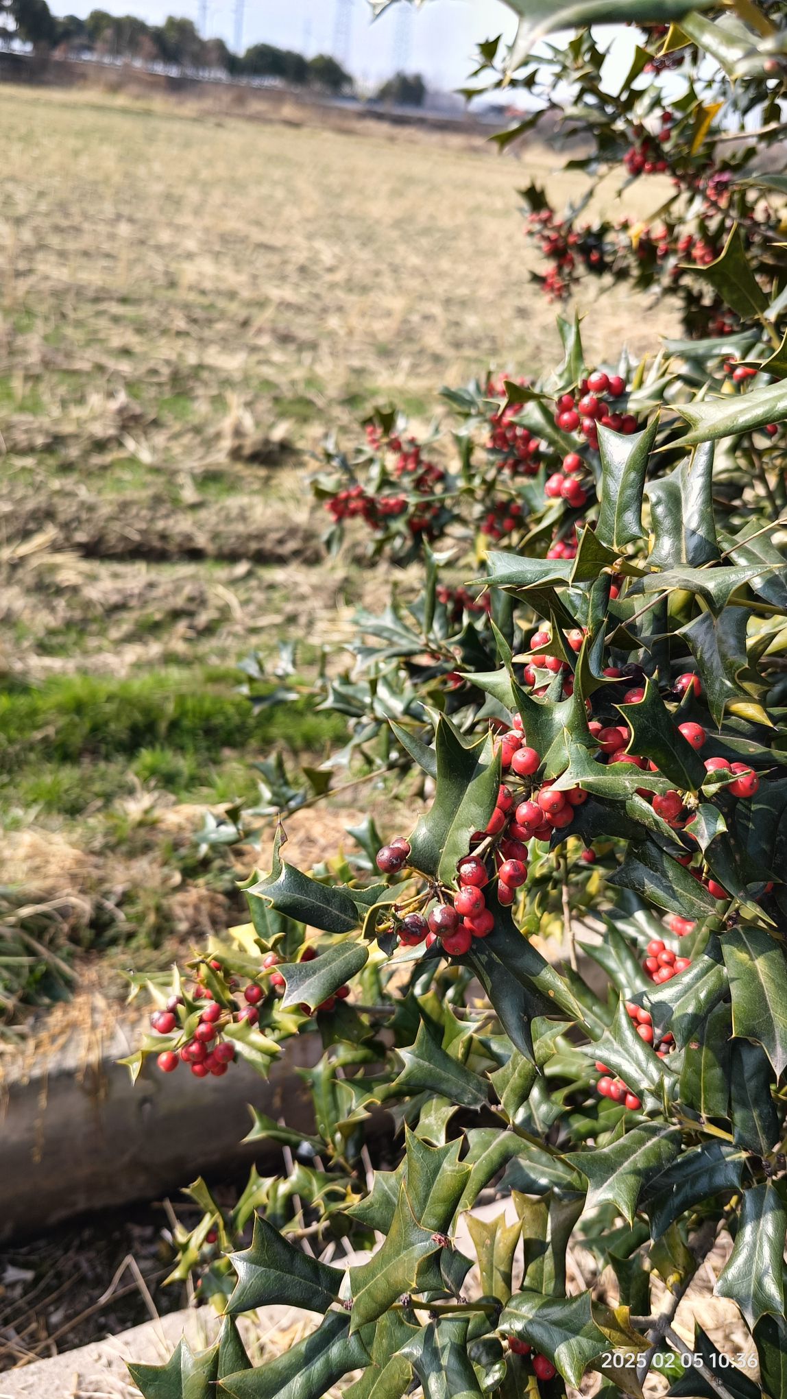 东岳行宫碑旅行图片 1