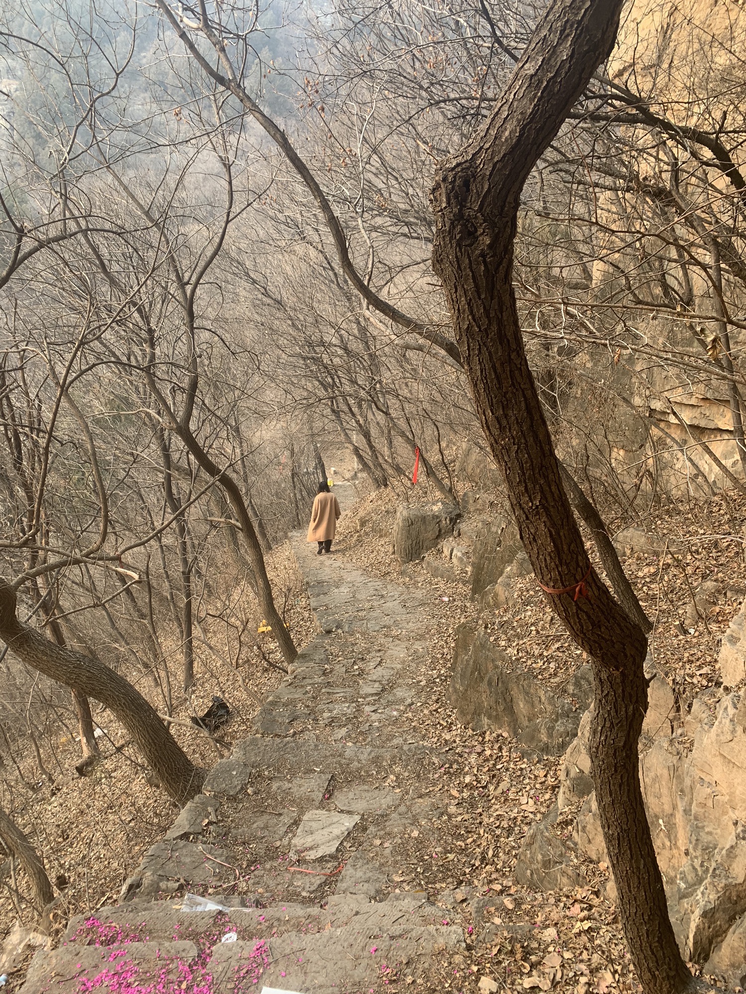 灵官庙遗址旅行图片 1