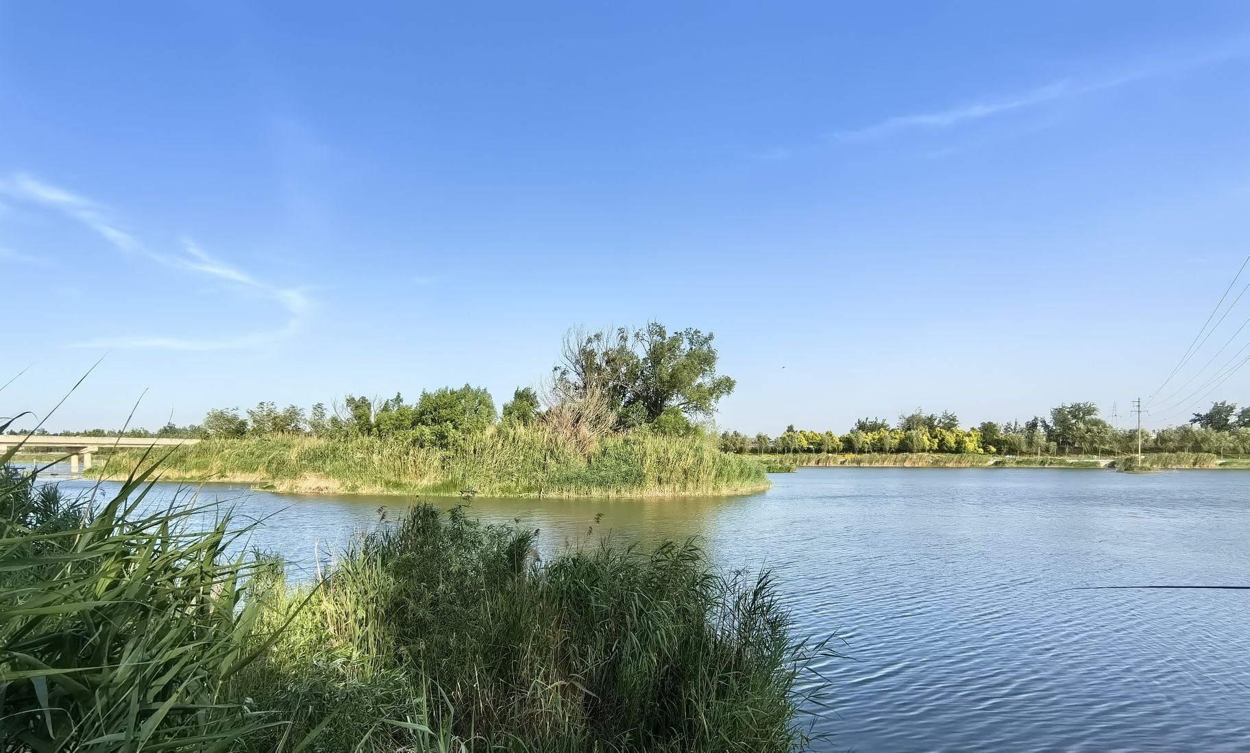 苍头河湿地公园