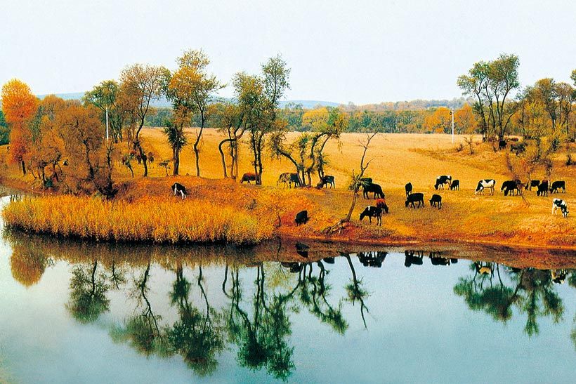 苍头河湿地公园