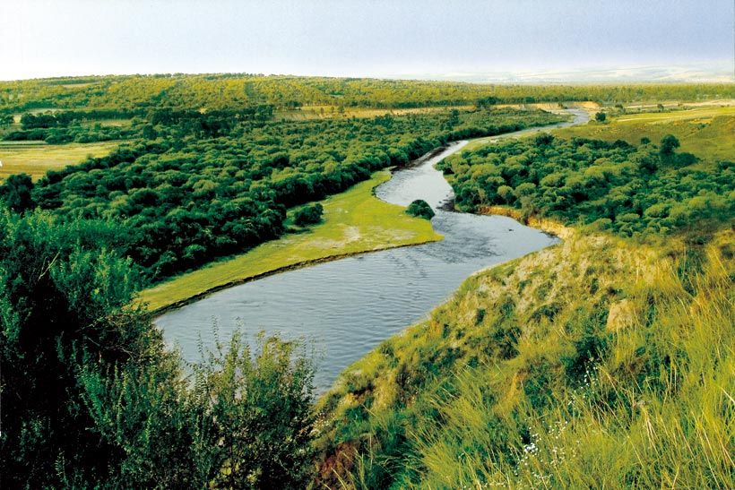 苍头河湿地公园