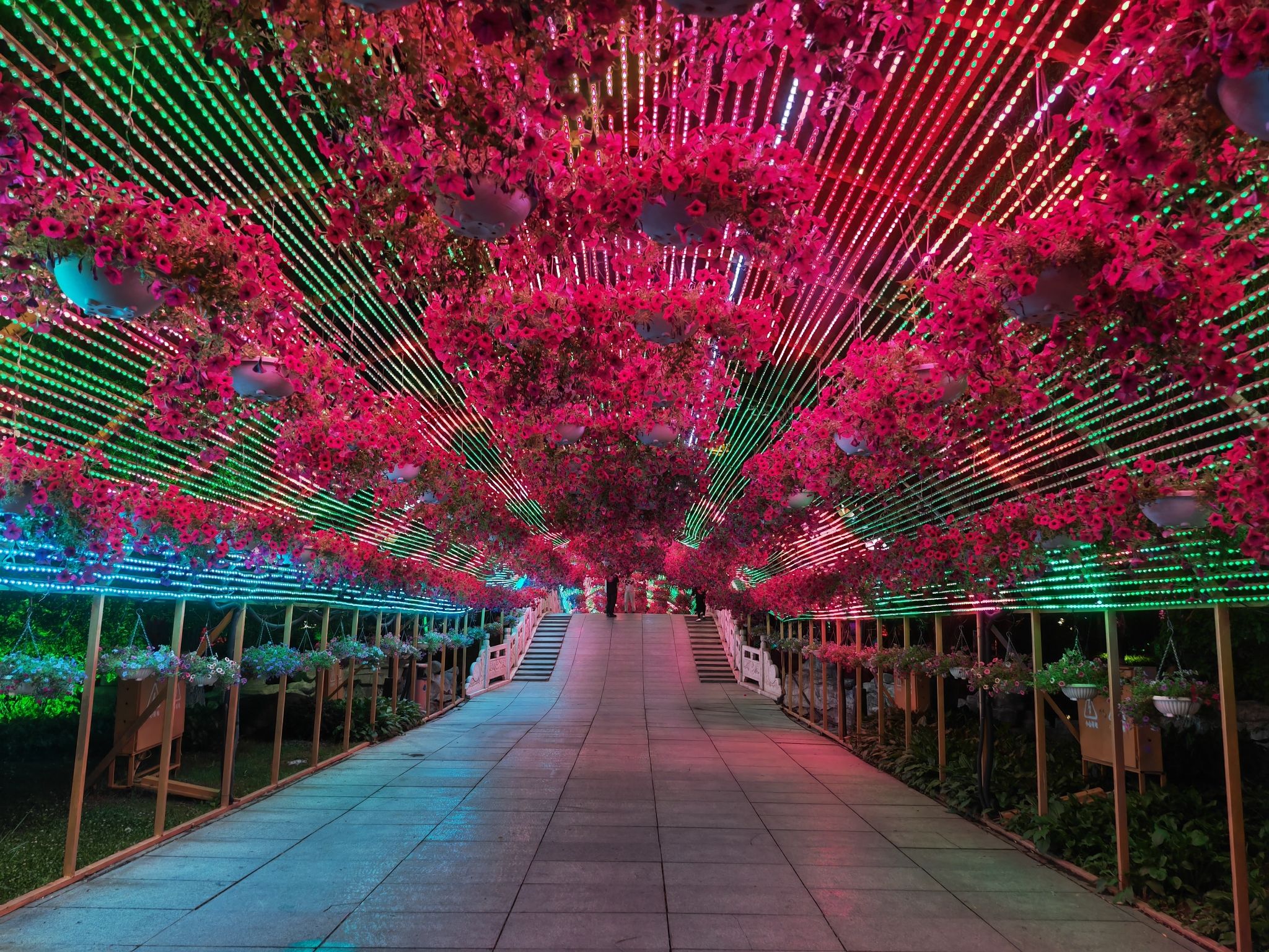 莲花公园旅行图片 3