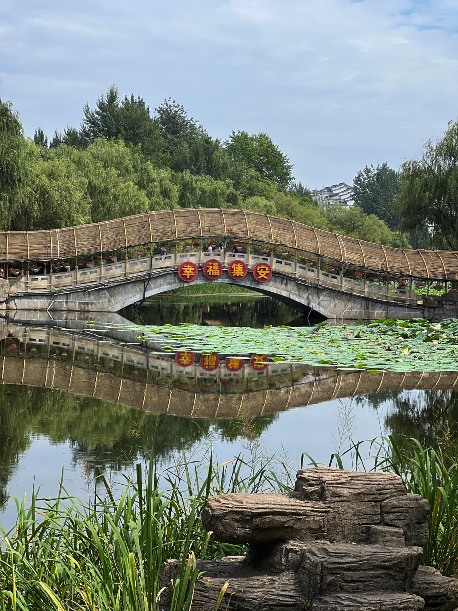 莲花公园旅行图片 1