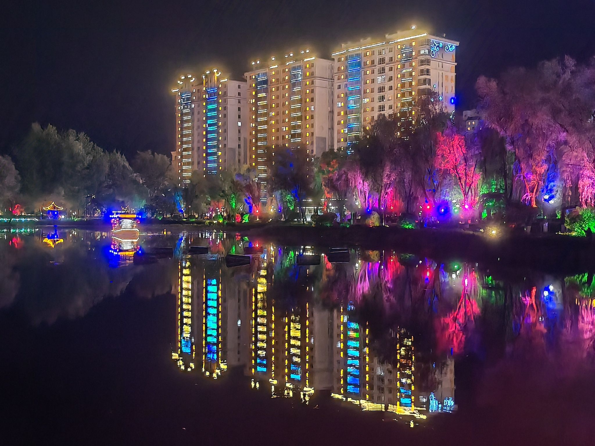 莲花公园旅行图片 2