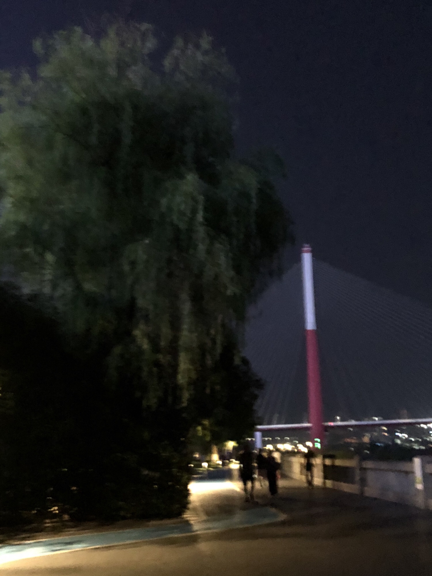 樱花渡体育公园旅行图片 2