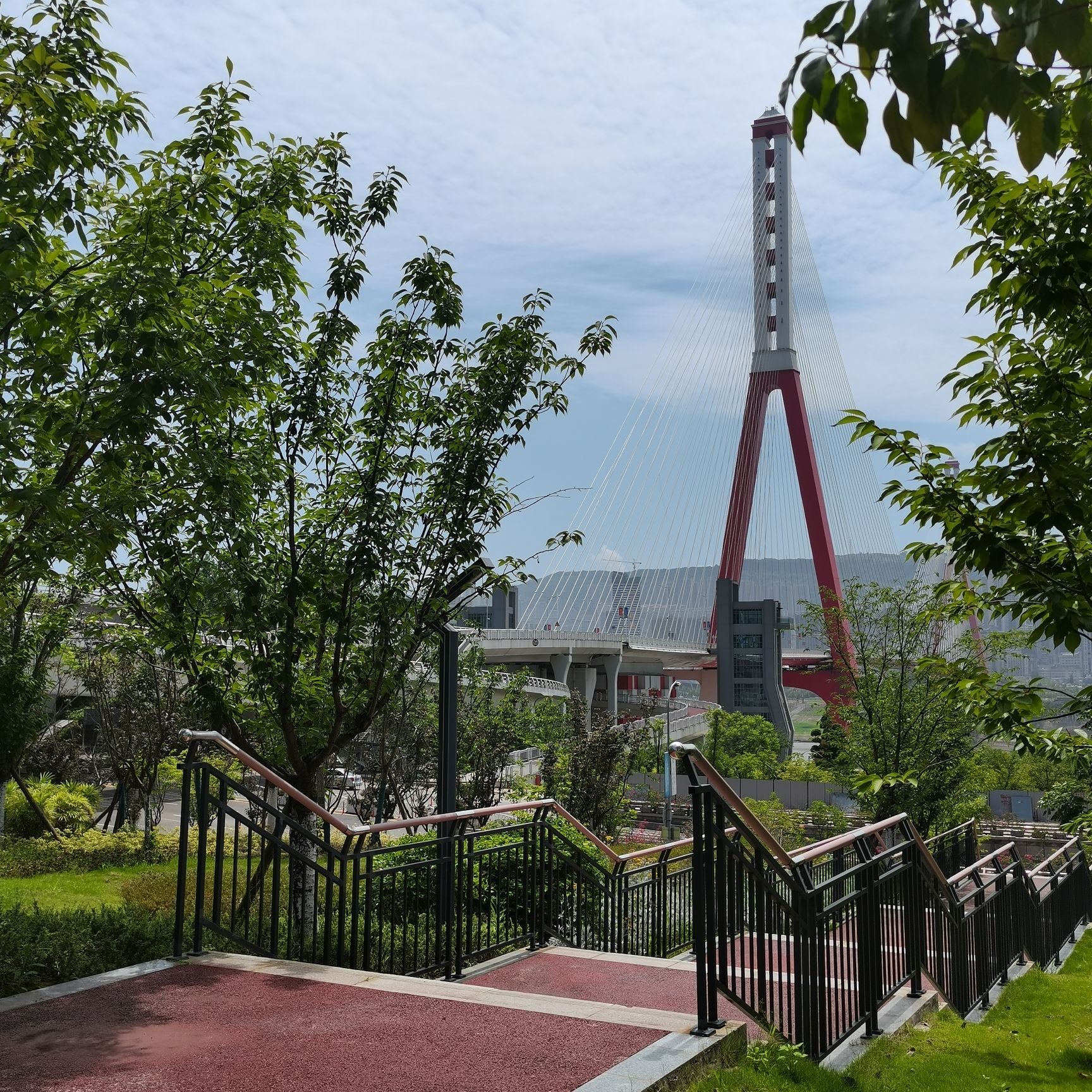 樱花渡体育公园旅行图片 3