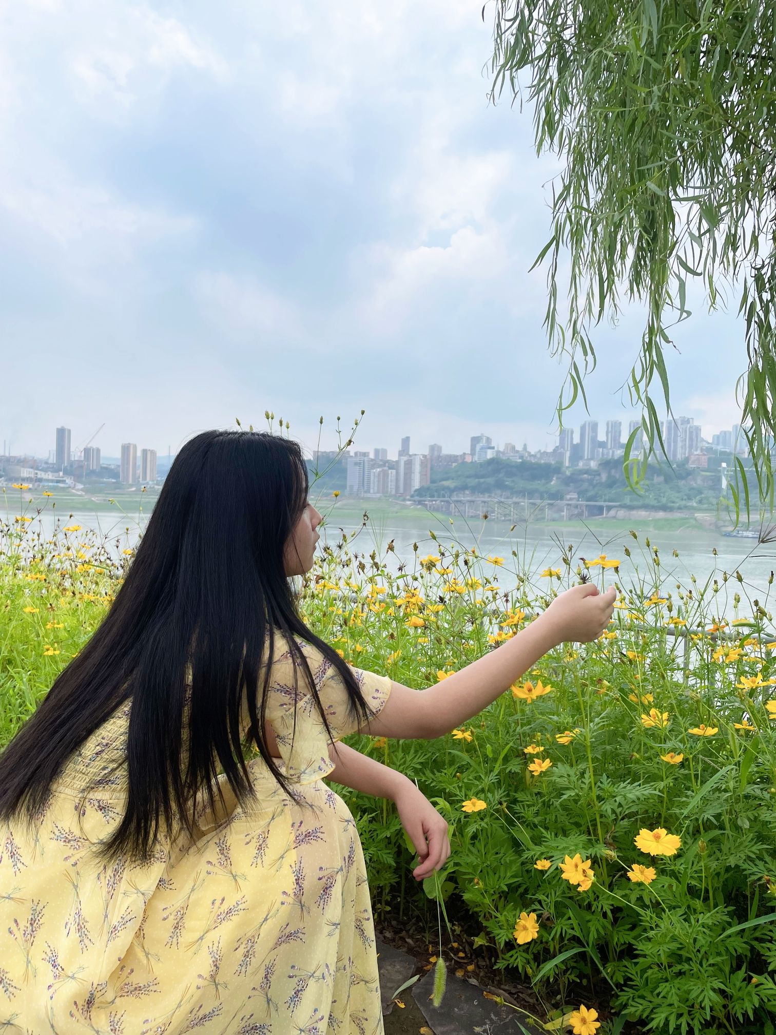 樱花渡体育公园旅行图片 1