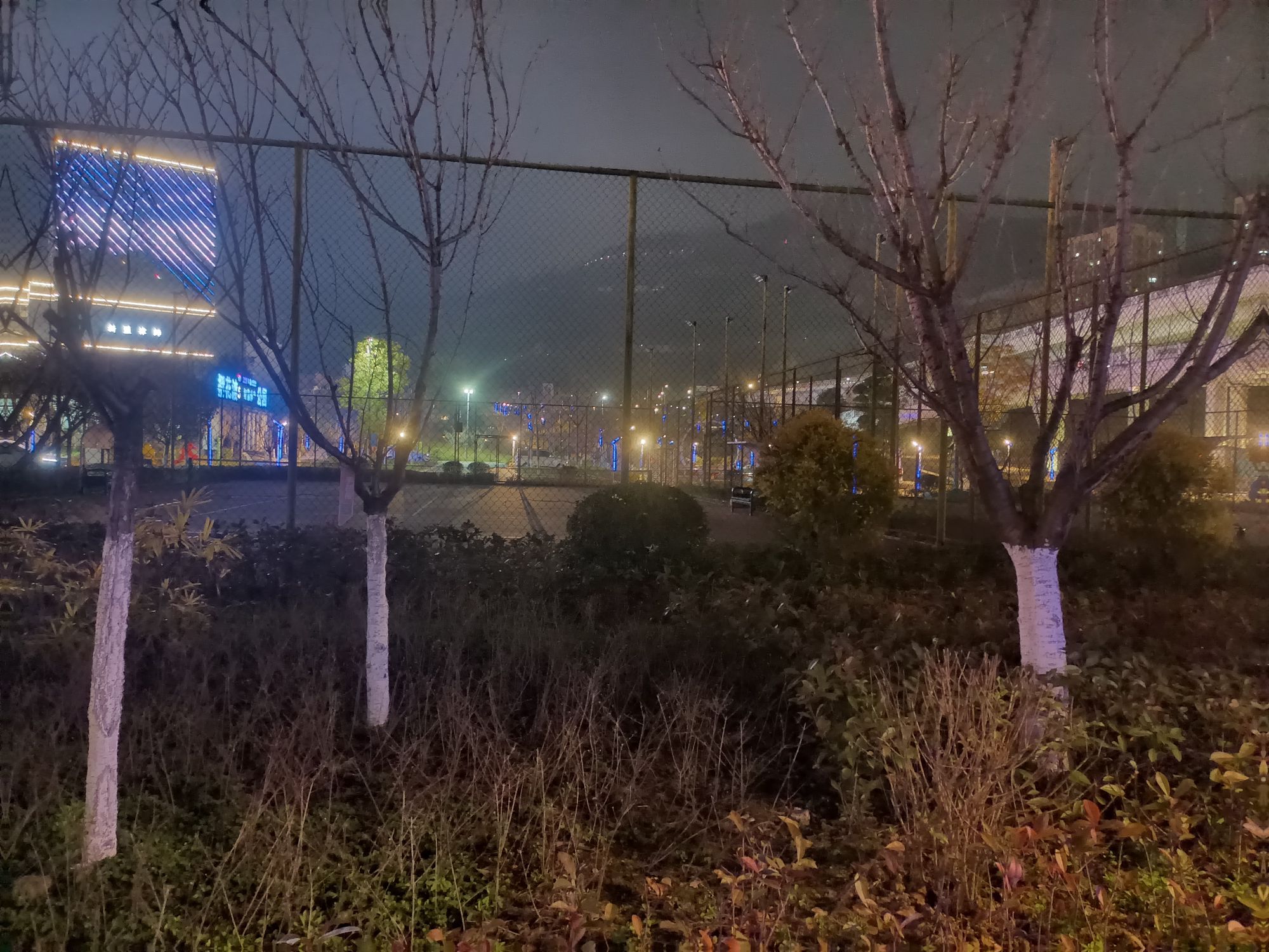樱花渡体育公园旅行图片 3