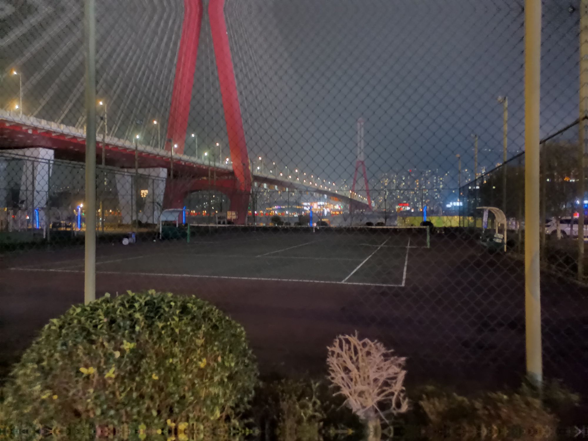 樱花渡体育公园旅行图片 2