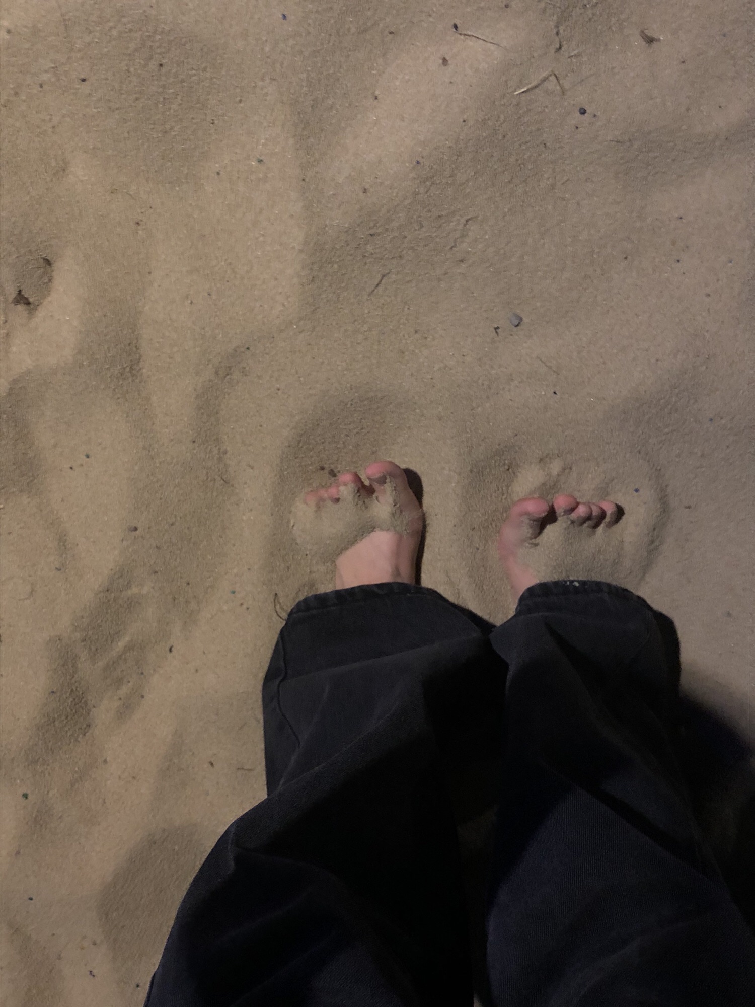 樱花渡体育公园旅行图片 3