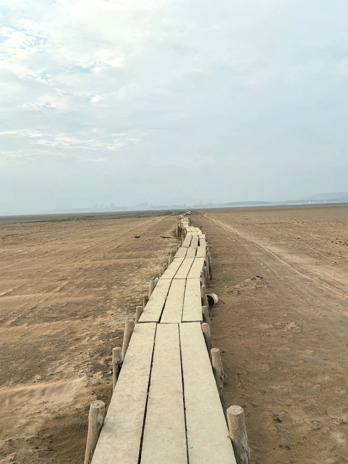 鄱阳湖国家级自然保护区-千眼桥旅行图片 2
