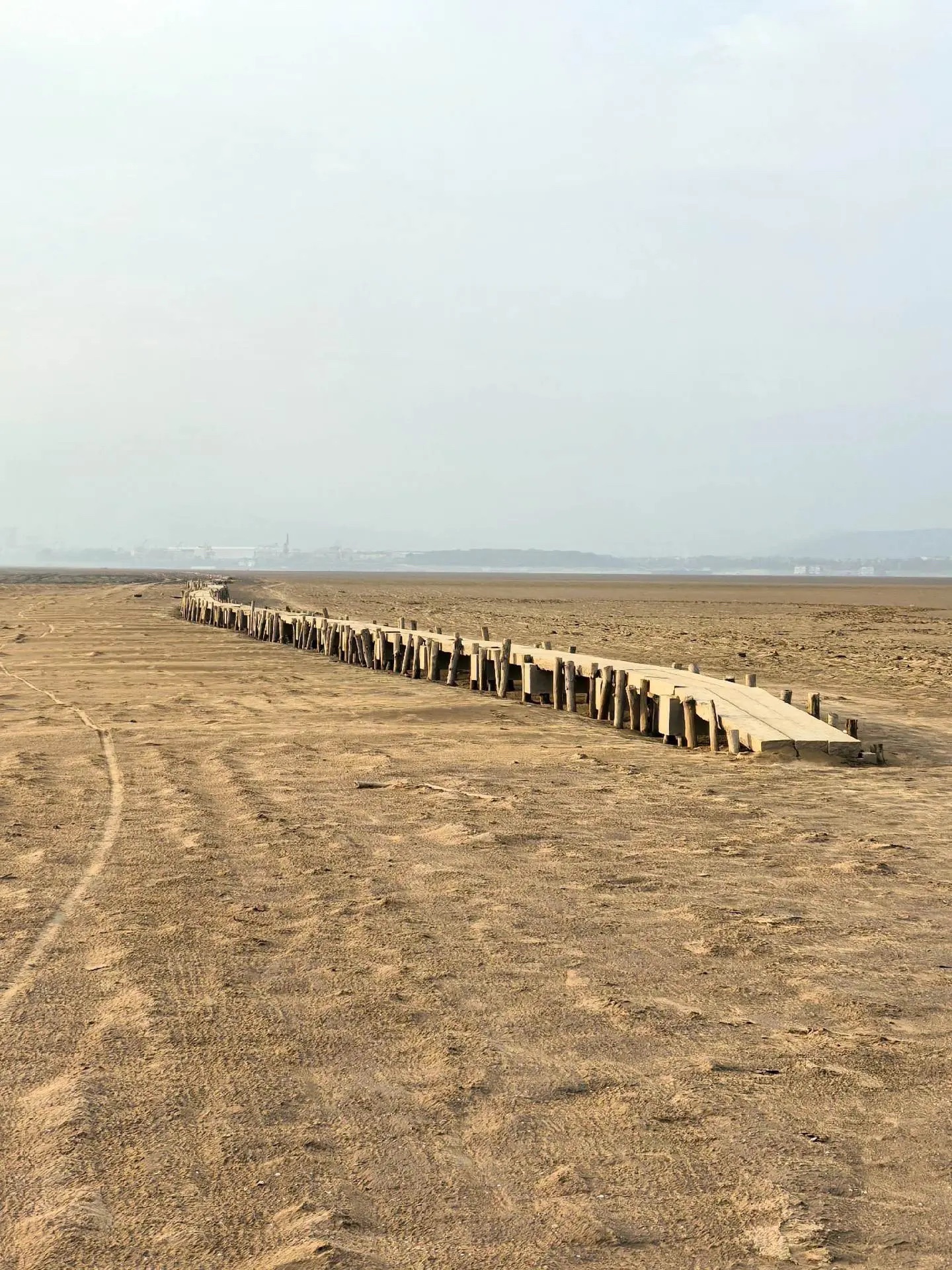 鄱阳湖国家级自然保护区-千眼桥旅行图片 3