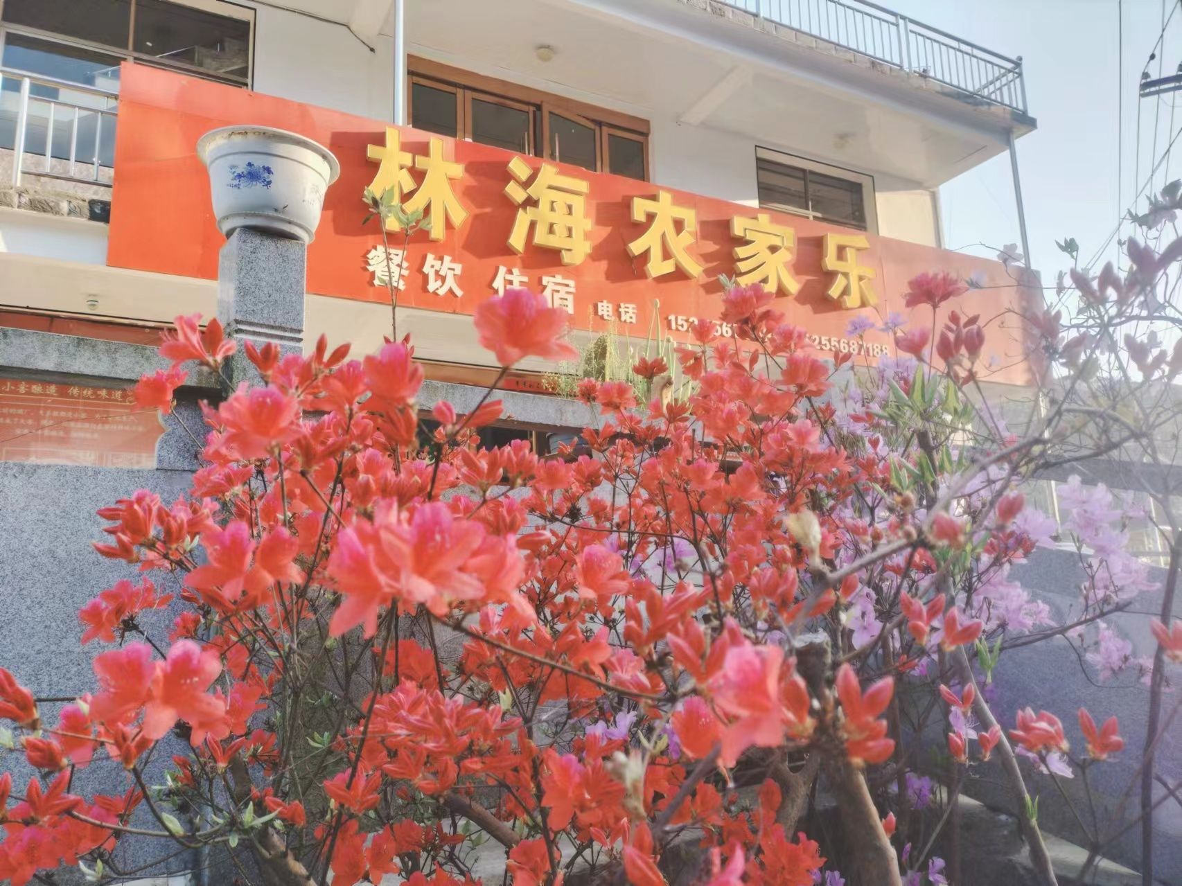 潜山林海农家乐