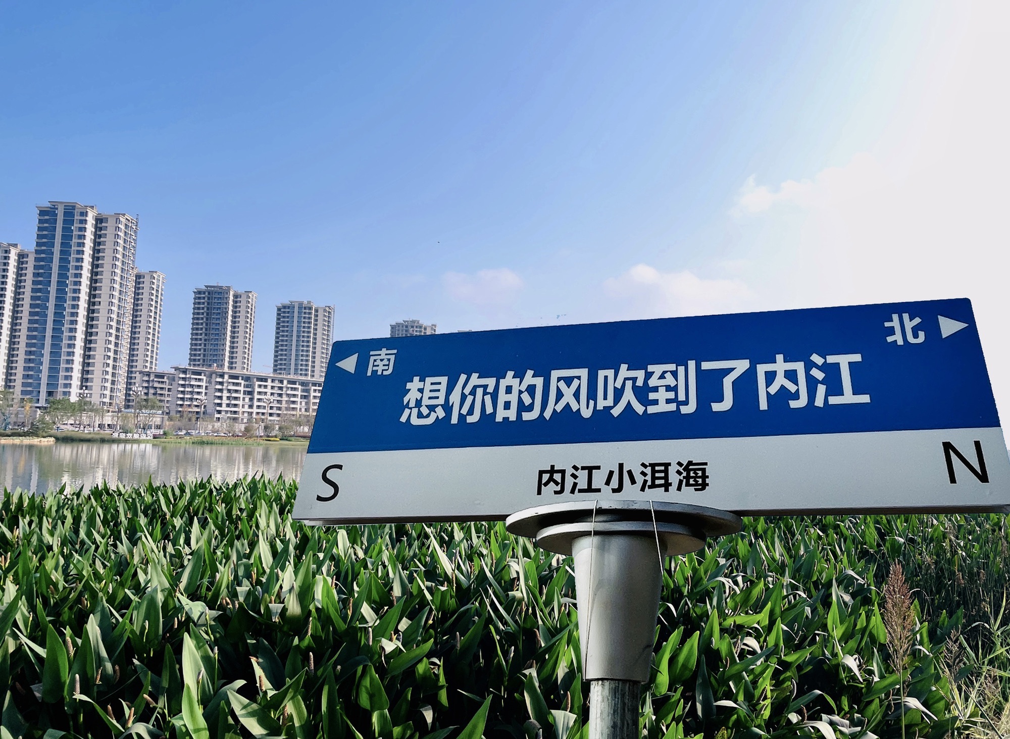 汉安湖生态湿地公园的第1张图片的图片资料