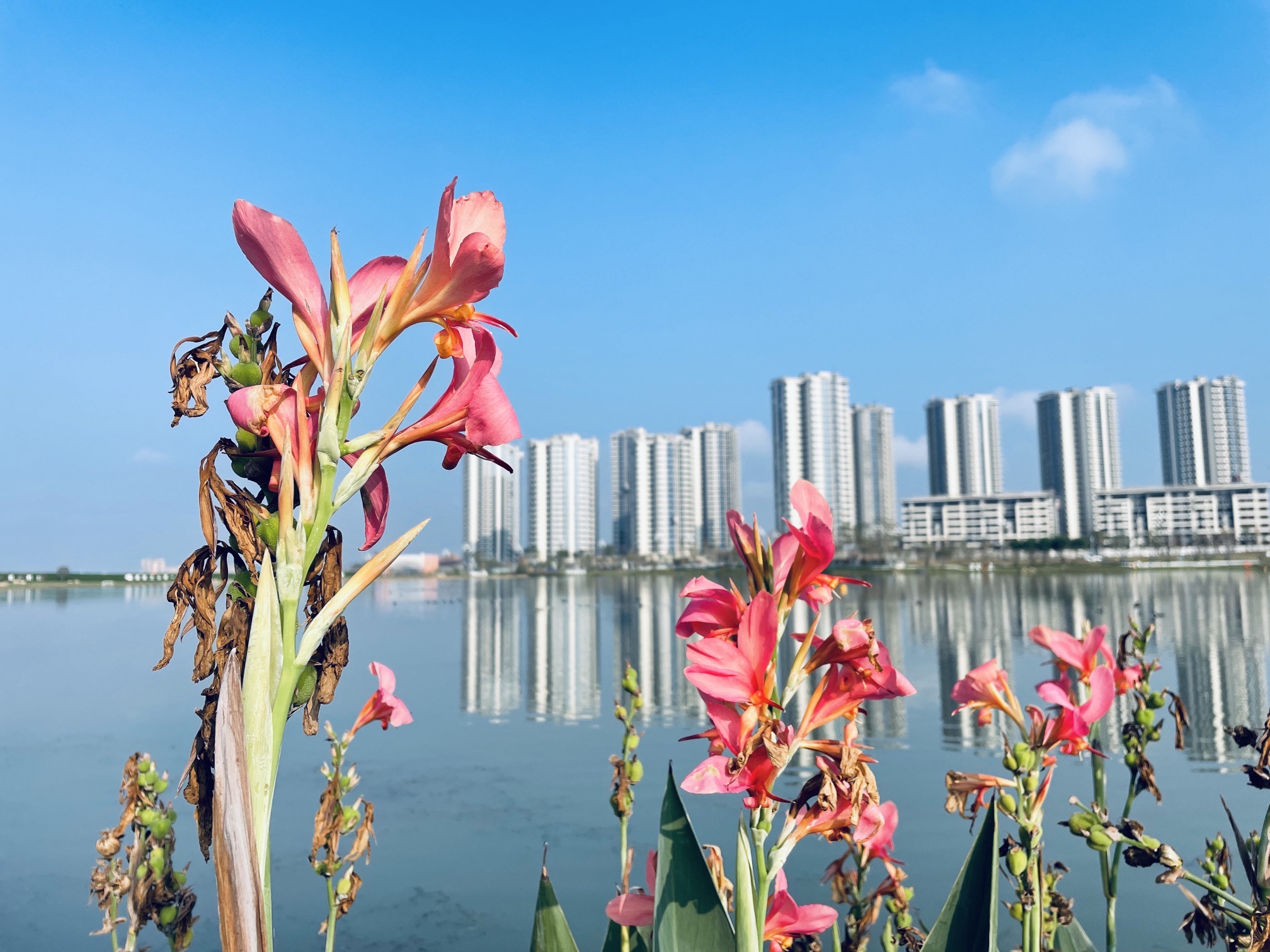 汉安湖生态湿地公园的第3张图片的图片资料