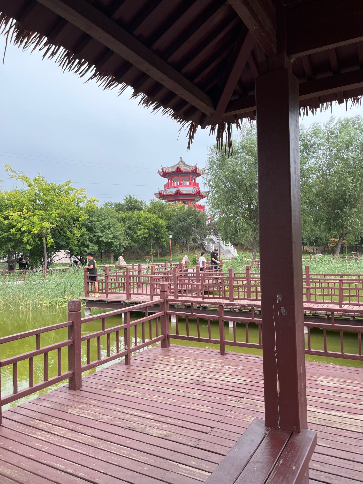 隆尧园博园旅行图片 3
