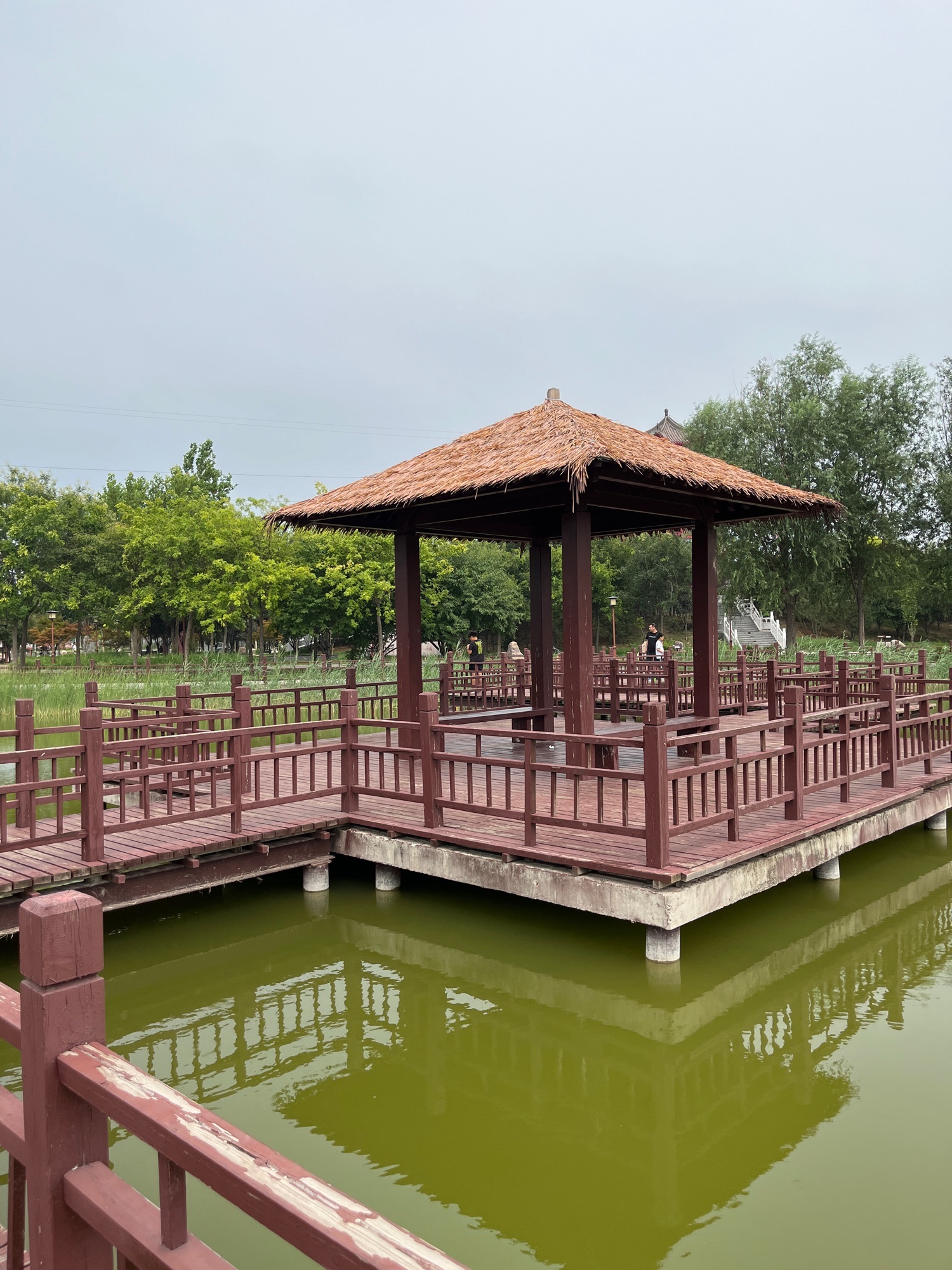 隆尧园博园旅行图片 2
