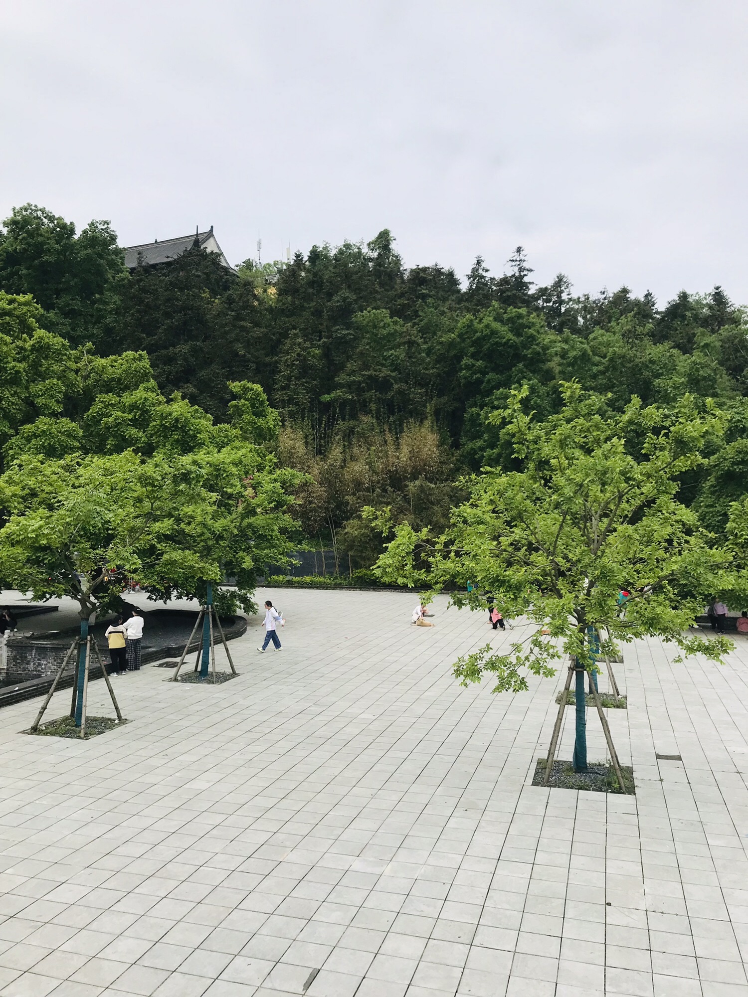 冶父山-铸剑广场旅行图片 3
