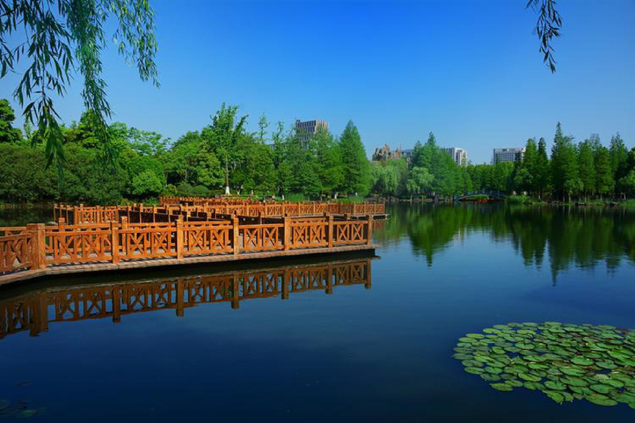 阳山体育公园旅行图片 1